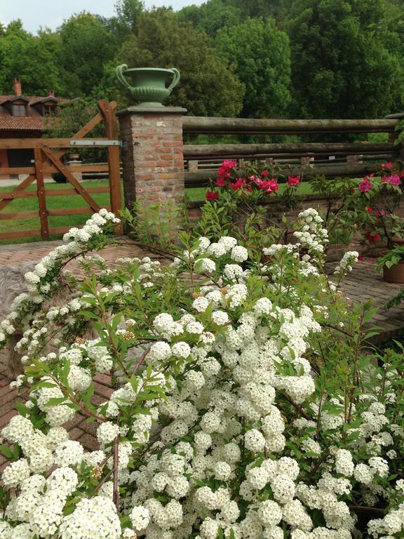 B&B Il Quadrifoglio Sciolze Buitenkant foto